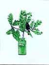 Tinctures - singing blackbird
