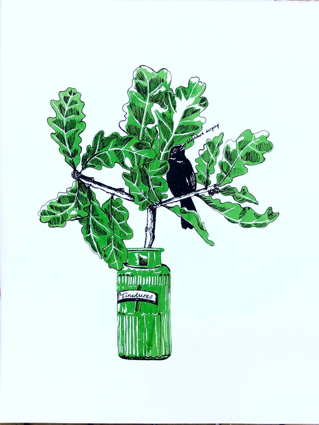 Tinctures - singing blackbird