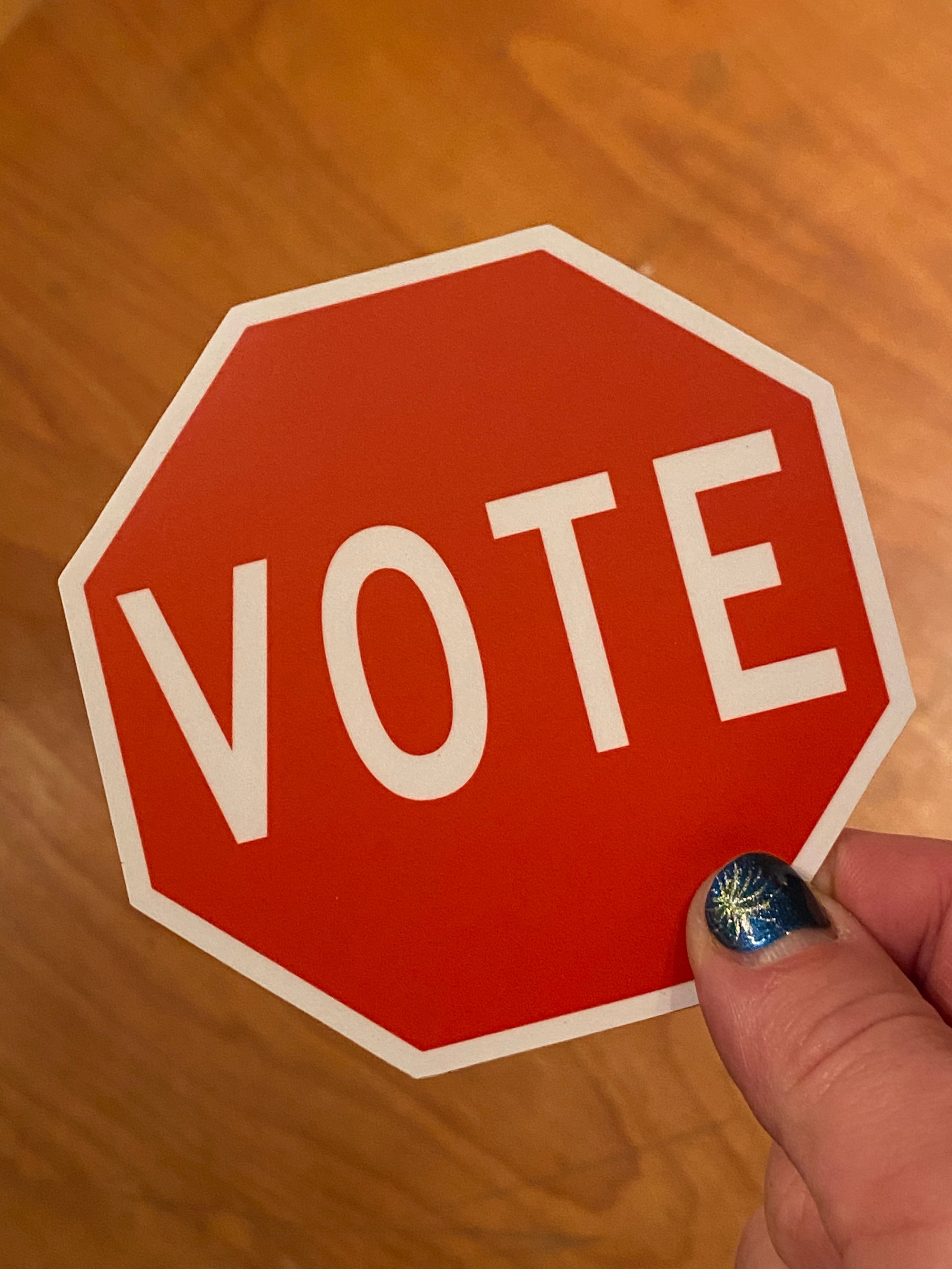 VOTE Sticker | Scott Froschauer Art Store