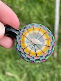 Image 4 of Spring Garden