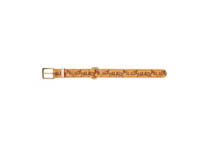 Palace P-Lux Dog Collar Orange