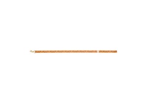 Palace P-Lux Dog Lead Orange