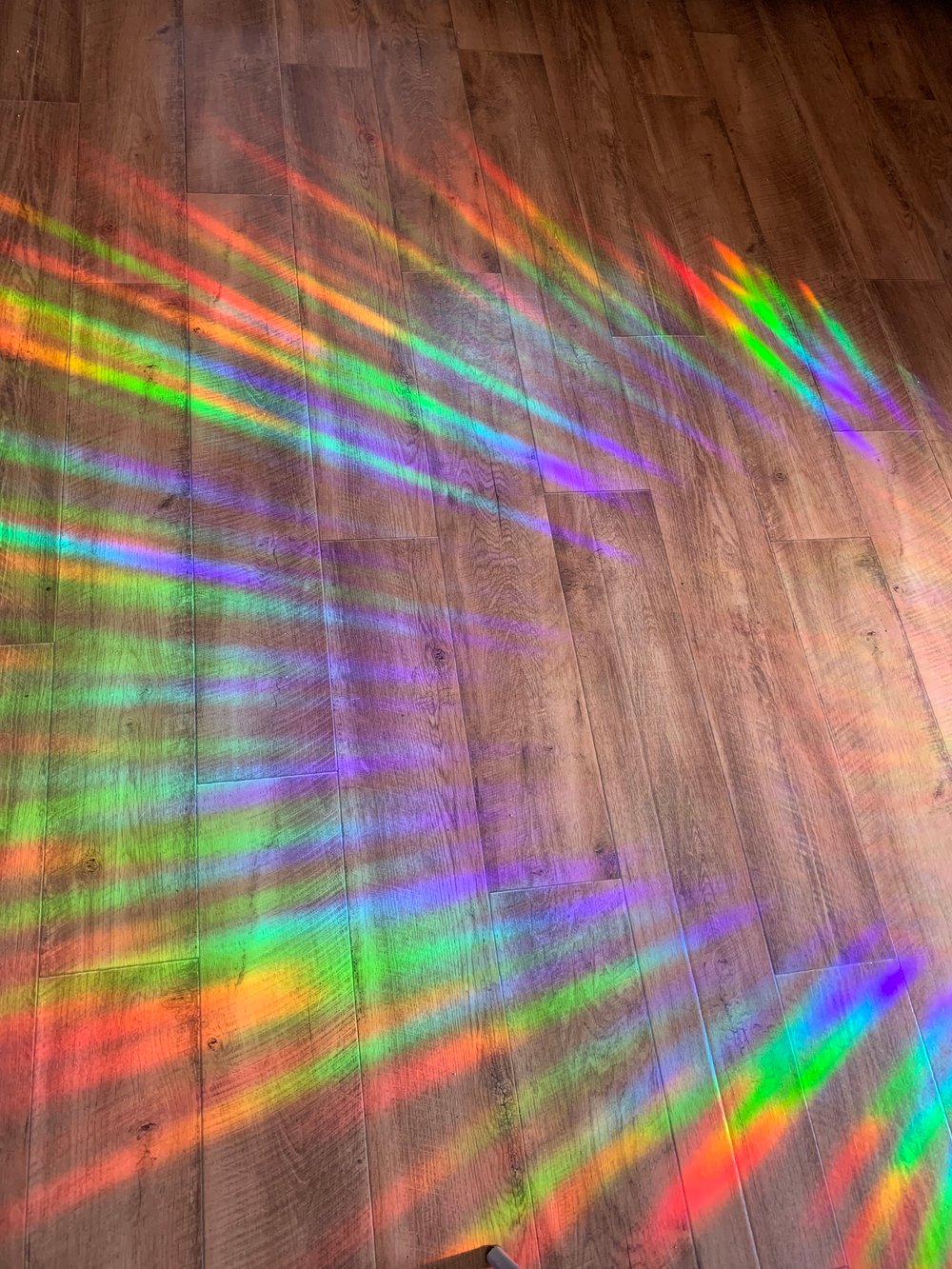 Image of Rainbow Suncatcher Window Decal (3 pack)