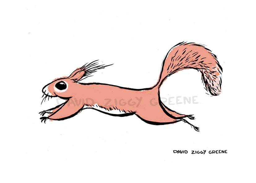 Red Squirrel (Charity item) | David Ziggy Greene