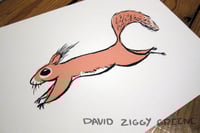 Image 2 of Red Squirrel
