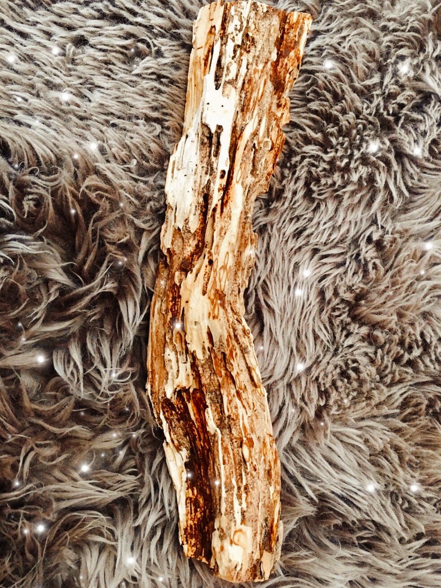 Image of Giant Palo Santo Log (WAS $200)