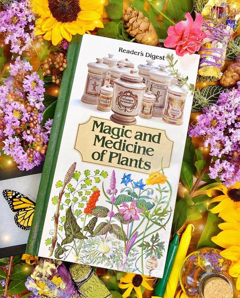 Image of Magic and Medicine of Plants - Vintage Book