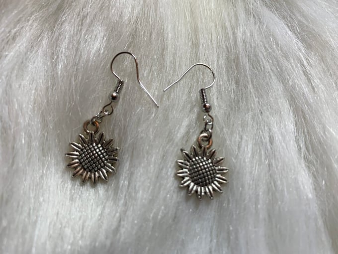 Image of Silver Charm Earrings 1