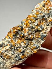 Image 4 of Hessonite Garnets On Matrix Specimen #2450