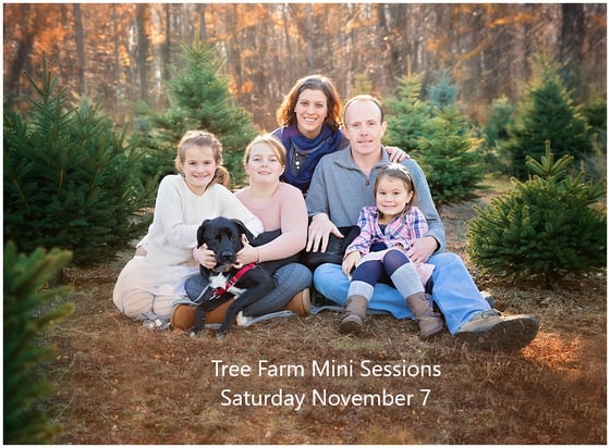 Image of Saturday, Nov 7 - Tree Farm Holiday Sessions 