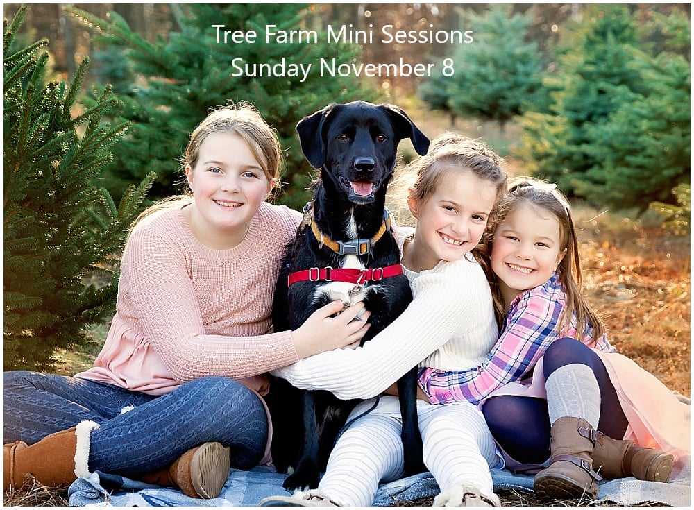 Image of SUNDAY Nov 8 - Tree Farm Holiday Sessions 
