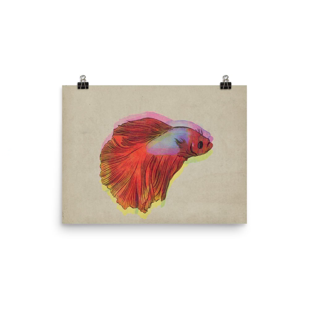 Image of Trippy Betta Fish
