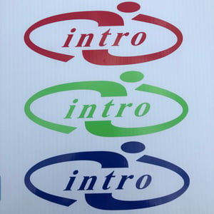 Image of Single Color INTRO Decal (Set of 2)