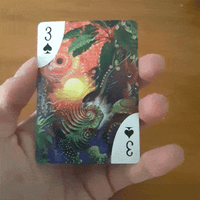 Image 1 of Zagaceta Collection Playing Cards