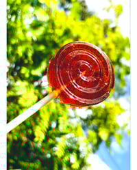 Image 1 of Organic Elderberry + Local Raw Honey Lollipops 