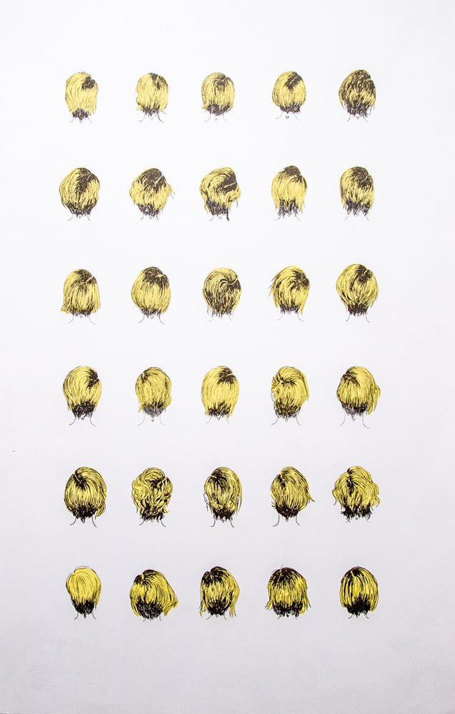 Image of "Diario de cabello 02" Liz Mevill