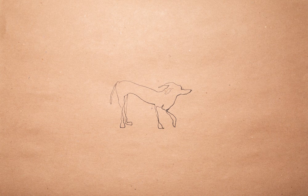 Image of "Los perros están de vuelta" Robert Majenti