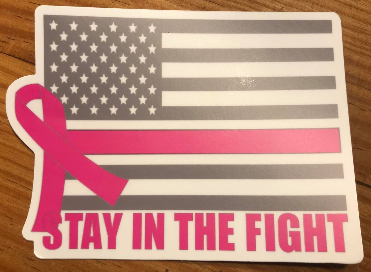 Image of STAY IN THE FIGHT DECALS