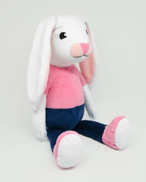 Image of Brave Bunny