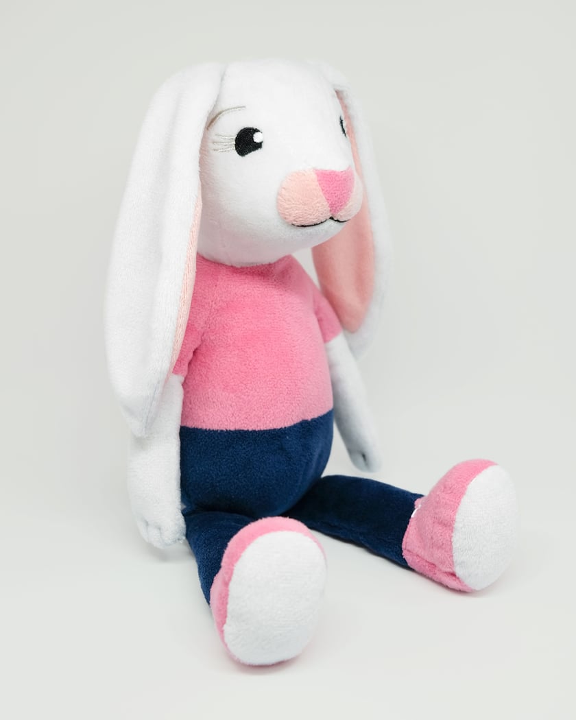 Brave Bunny