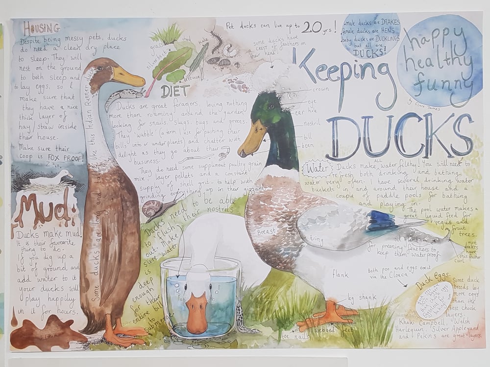 Image of Keeping Ducks poster.