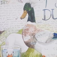 Image 2 of Keeping Ducks poster.