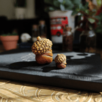 Image 2 of Micro Acorn Baby