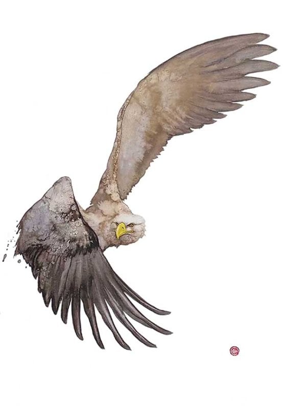 Image of KARL MARTENS - 'WHITE TAILED EAGLE' - LITHOGRAPH - SIGNED