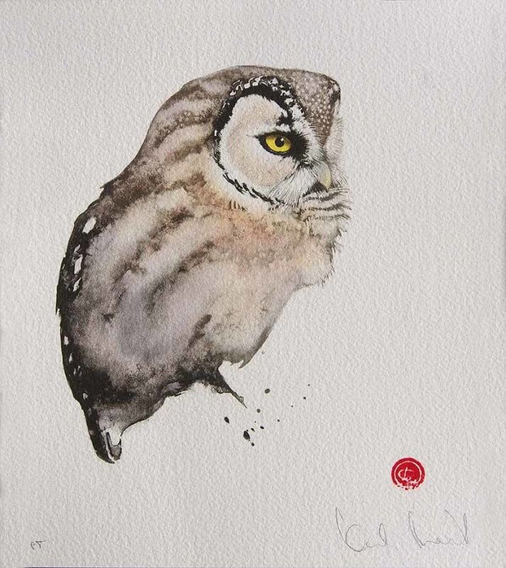Image of KARL MARTENS - 'TENGMALM'S OWL - LITHOGRAPH - SIGNED