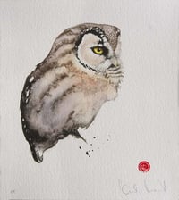 KARL MARTENS - 'TENGMALM'S OWL - LITHOGRAPH - SIGNED