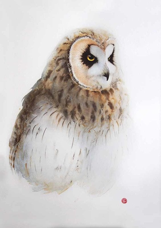 Image of KARL MARTENS - 'SHORT EARED OWL' - LITHOGRAPH - SIGNED