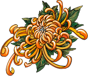 Tatouages Ephémères Chrysanthèmes