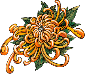 Tatouages Ephémères Chrysanthèmes