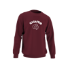 IDGAFDB Crewneck (Maroon)