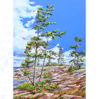 Image 1 of - Well Rooted -