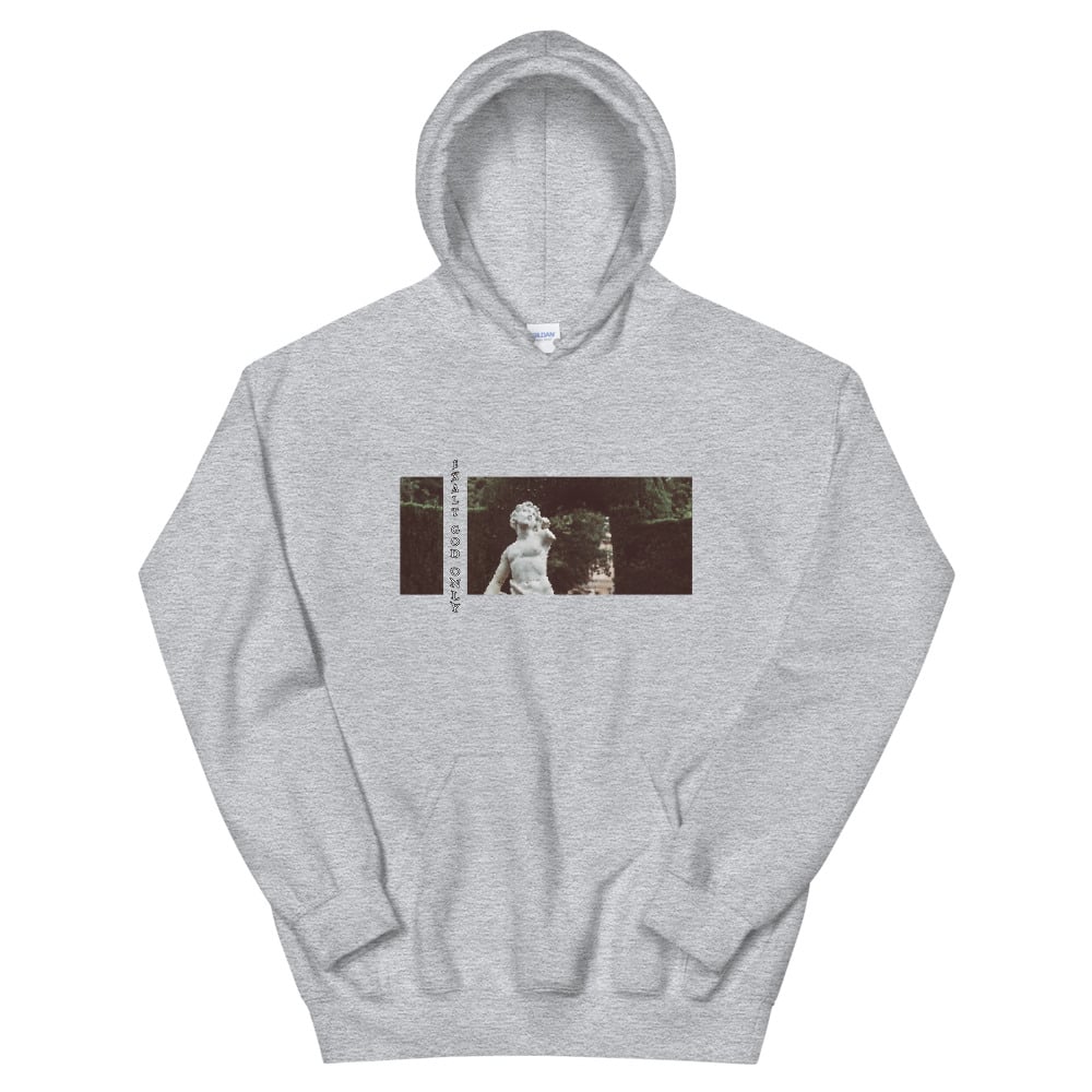 Image of Statue hoodie