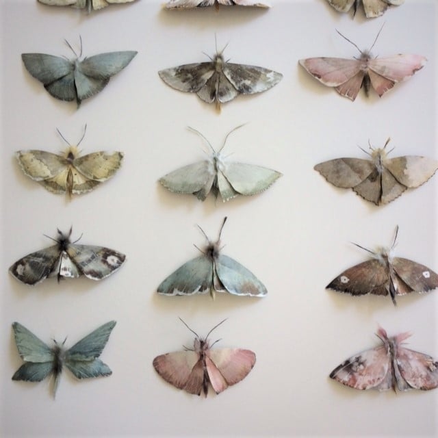 Image of 'WHISPERING MOTH' SALE - Early June