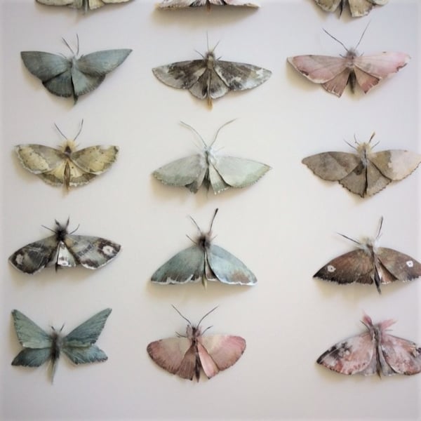 Image of 'WHISPERING MOTH' SALE - Early June