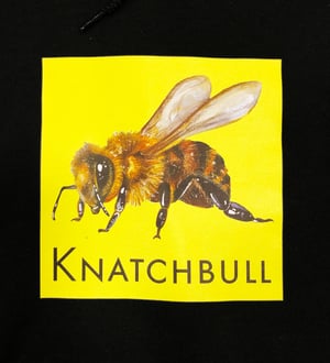 Image of Knatchbull Honeybee hoodie