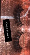 Hustle Capricorn