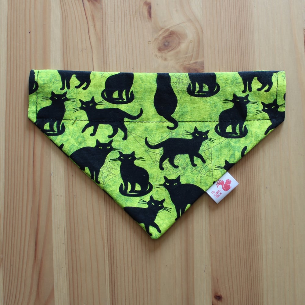 Image of Halloween black cat pet bandana