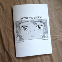 Image of AFTER THE STORM - zine