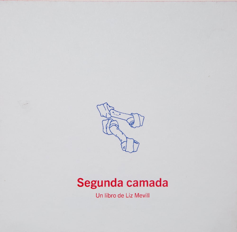 Image of "Segunda Camada" Liz Mevill