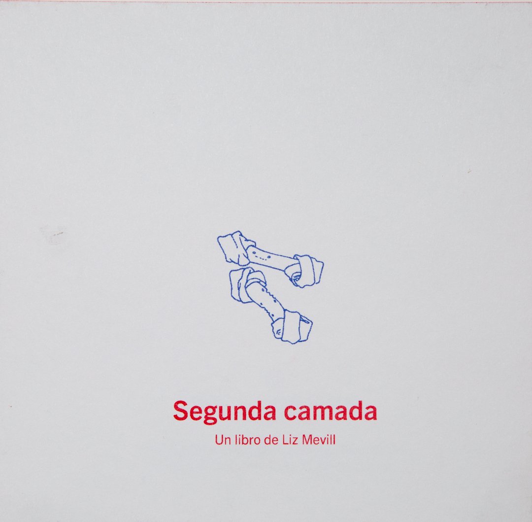 Image of "Segunda Camada" Liz Mevill