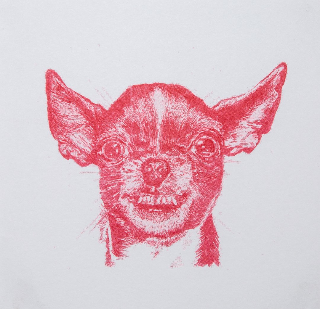 Image of "Segunda Camada" Liz Mevill