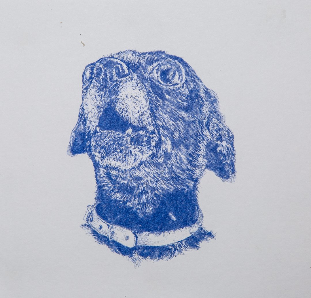 Image of "Segunda Camada" Liz Mevill
