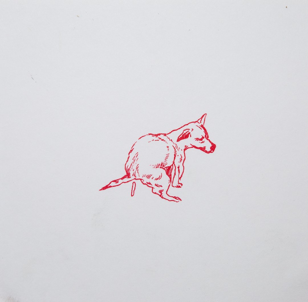 Image of "Segunda Camada" Liz Mevill