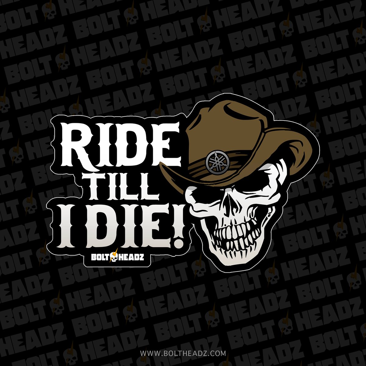 Ride Till I Die! Die Cut Sticker