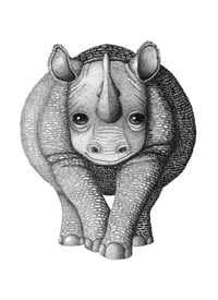 Image 1 of Rhino