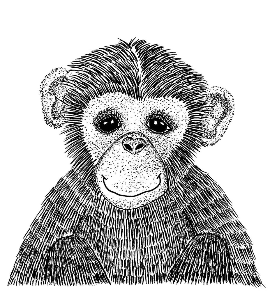 Image of Cheeky Monkey